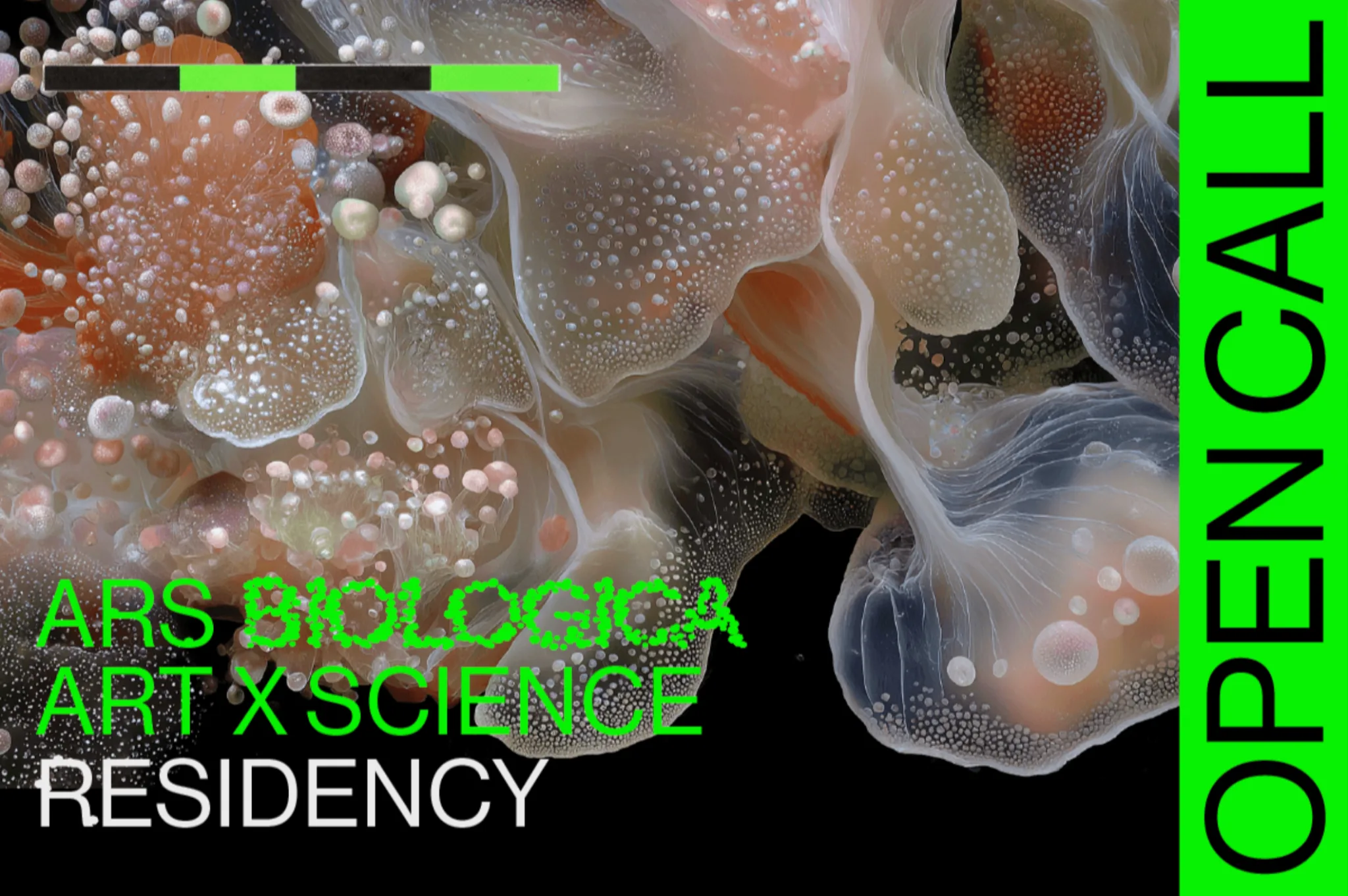 Ars Biologica ArtXScience Residency, Ars Electronica Export + České Budějovice 2028